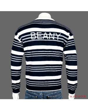 VIRJEANS Woolen (VJC203) Round Neck Lining Design Sweater Warm For Men Winter Season-Blue