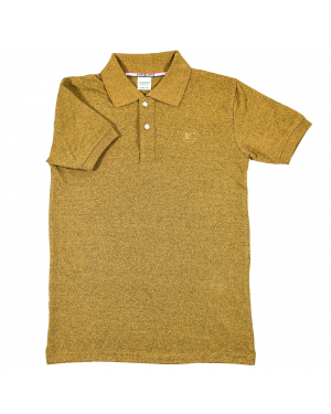VIRJEANS (VJC740) Polo Neck T-Shirt For Men - Golden